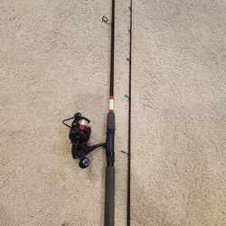 Profishiency Fishing Rod And Reel Combo 