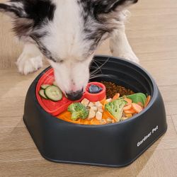 Adjustable Slow Feeder Bowl for Medium/Large Dogs – 9.85'' L Size with Suction Base