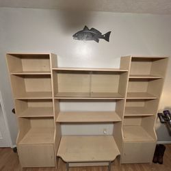 Entertainment Center Shelving 