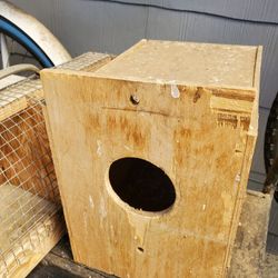 Nest Boxes