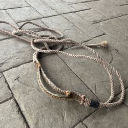 Bull rope 
