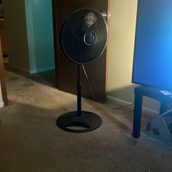 Adjustable Fan