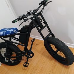 Moped style electric e bike with charger