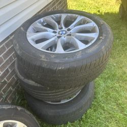 Stock 