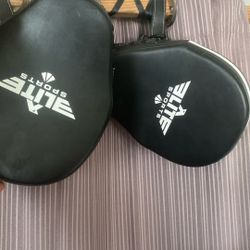 Boxing Mits