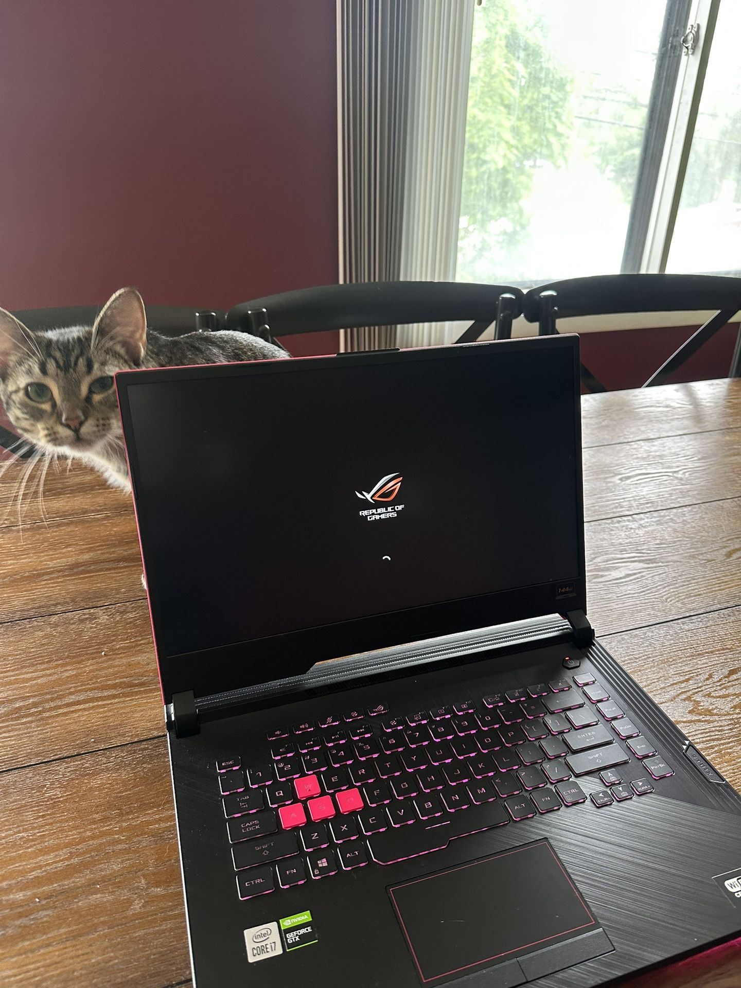 ROG STRIX GAMING LAPTOP (32 GB RAM)
