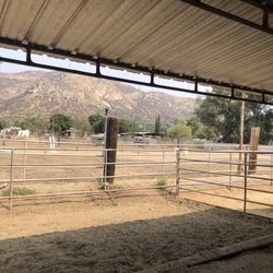 Horse Stalls