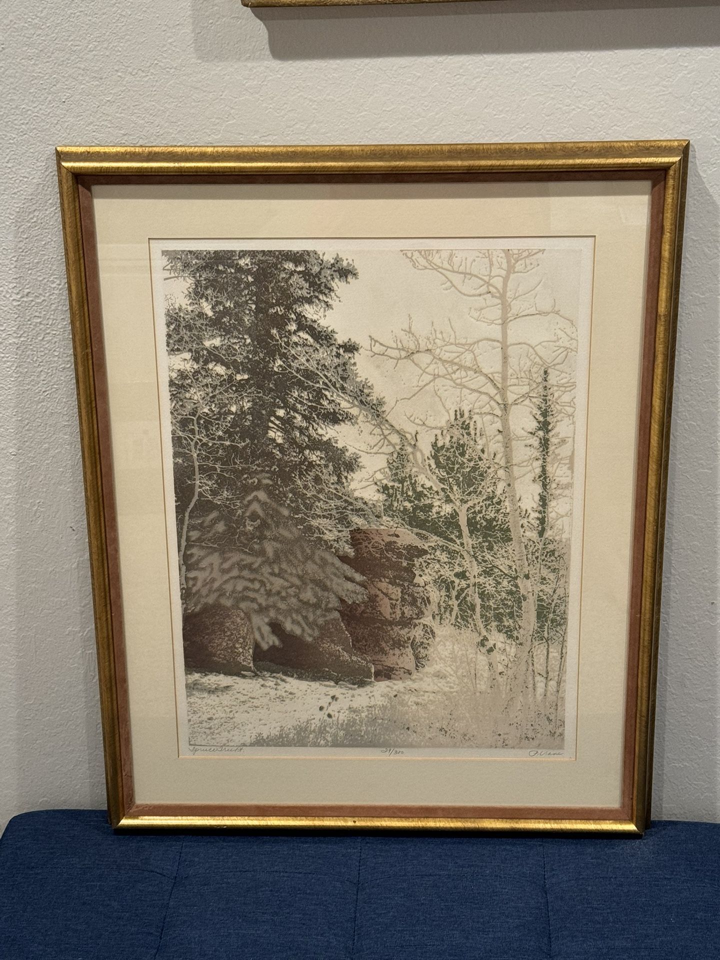 PAULA CRANE (b. 1945) "Spruce Tree Pt." Incredible Hand-Signed Etching 29/300