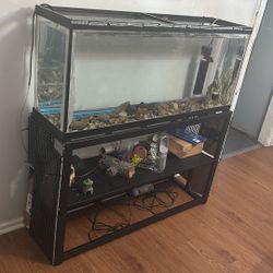 75 Gallon Fish Tank With Stand And sponge air filter