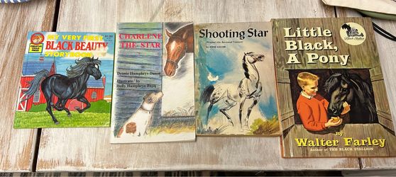Children horse book