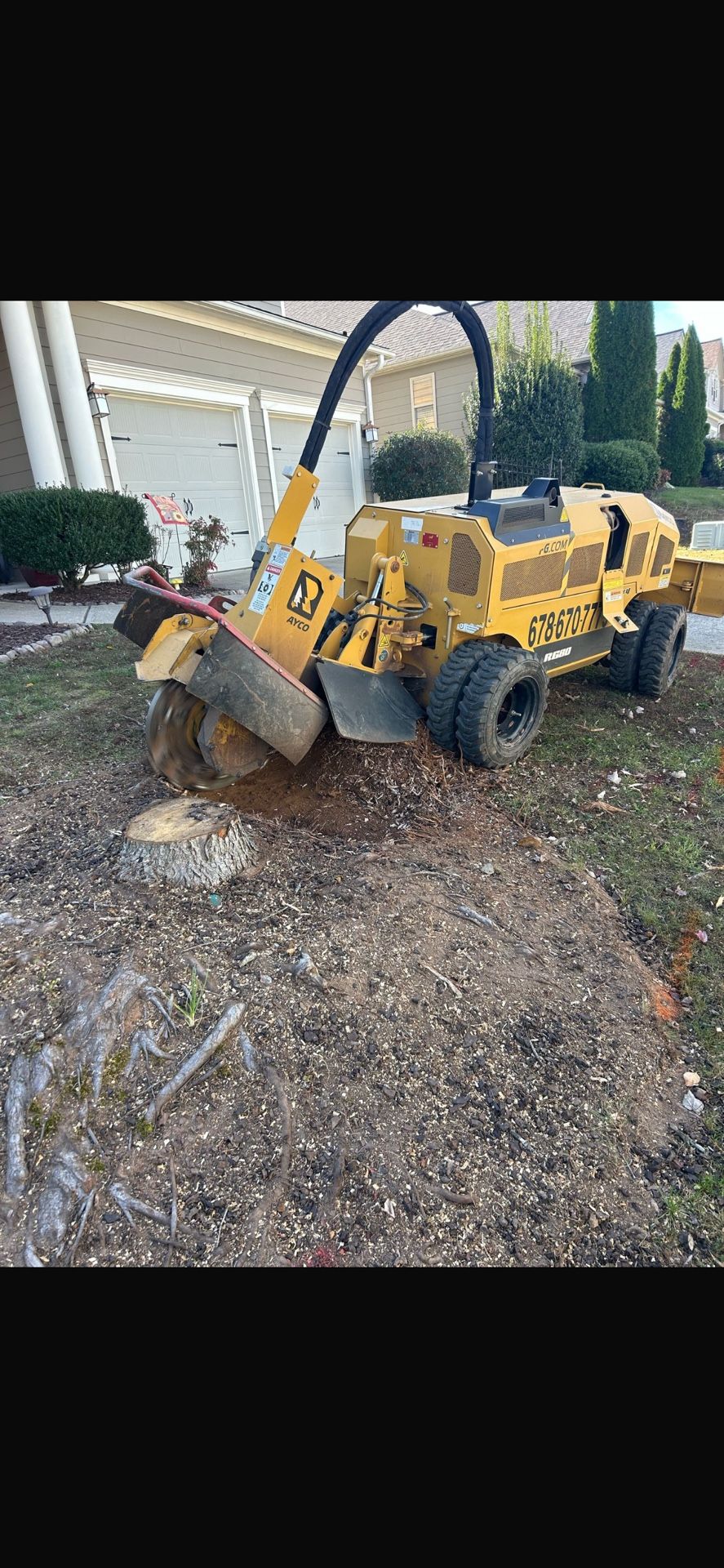 STUMP GRINDING