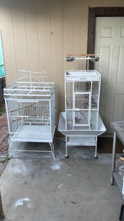 Bird Cage
