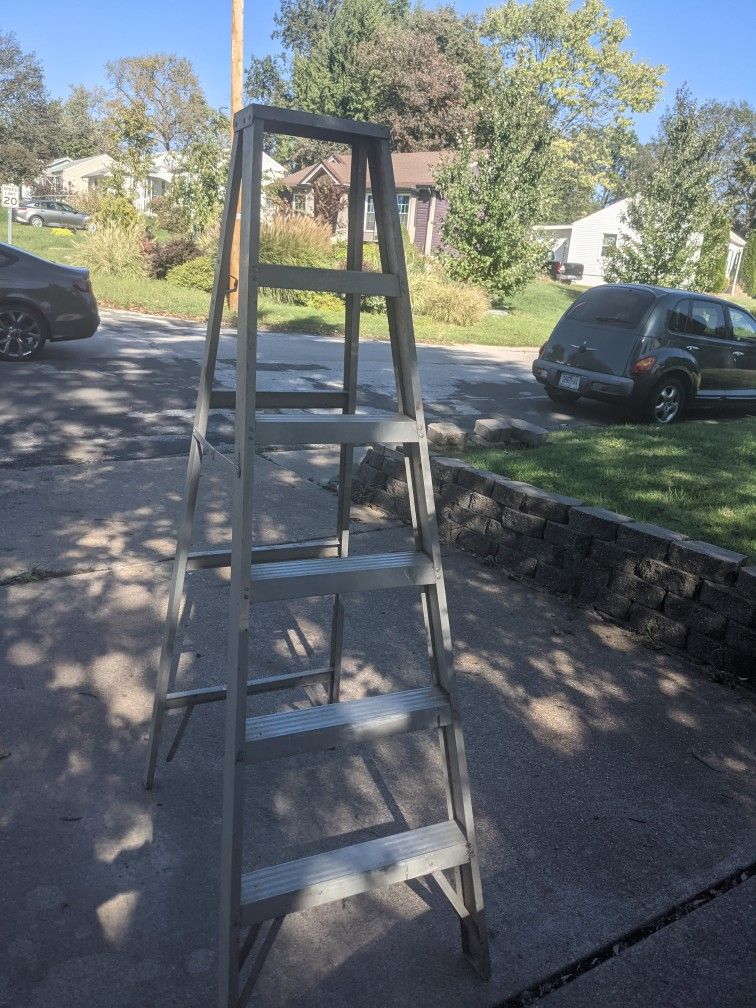 6ft Aluminum Ladder