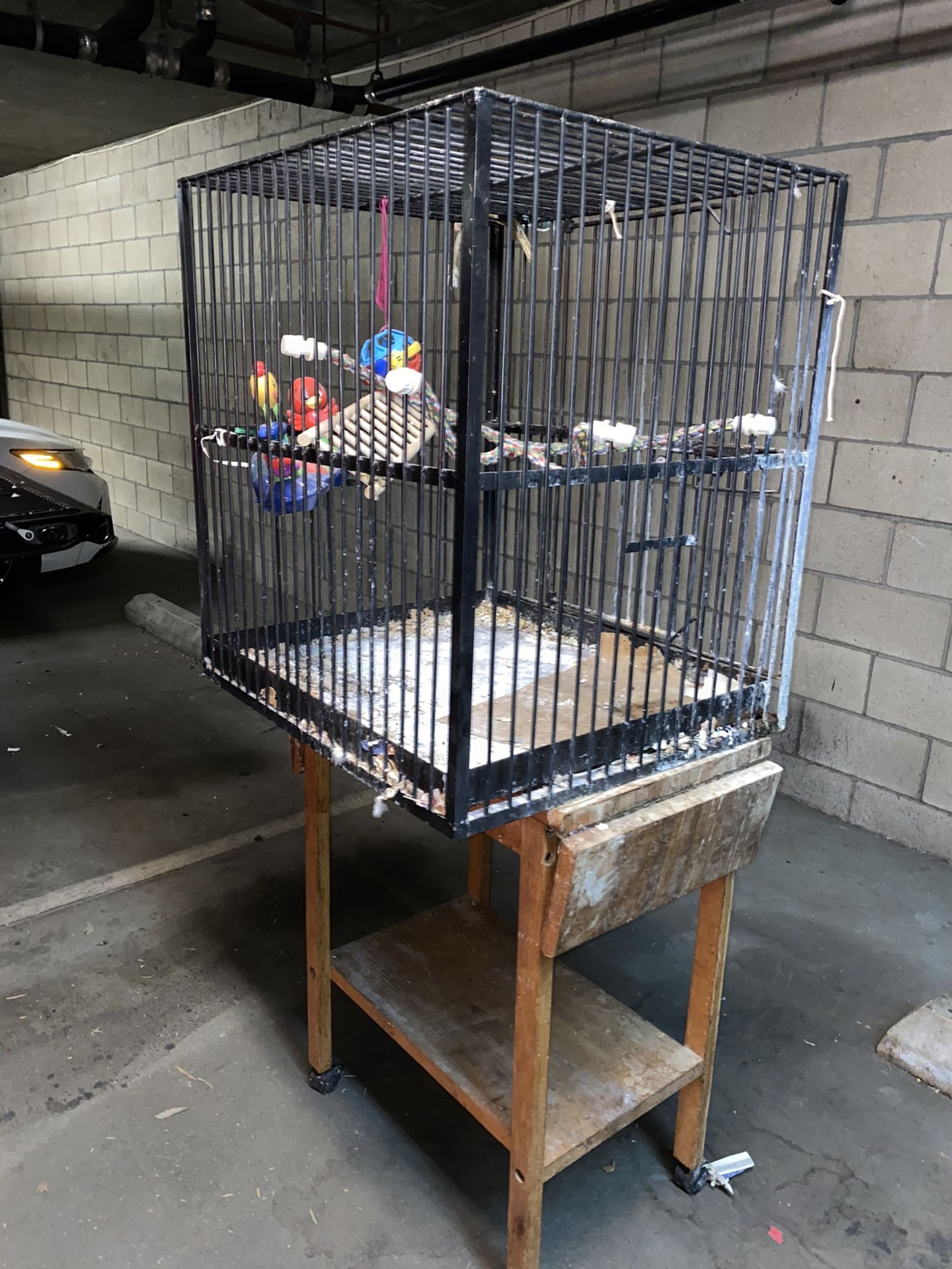 Big Bird Cage