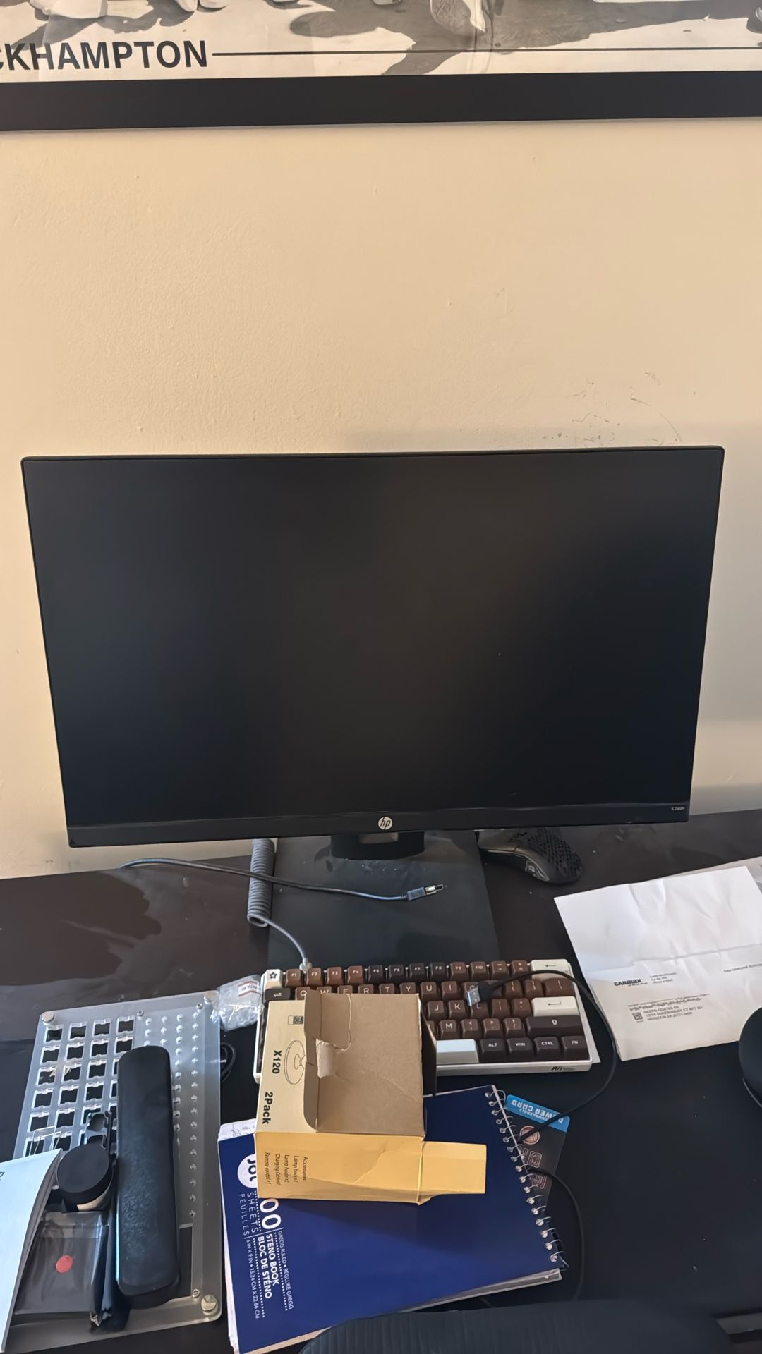 Gaming Monitor