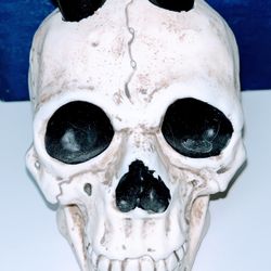 Halloween Skull Shot Tube Set, Plastic Vase Or Plant  Propagation Station