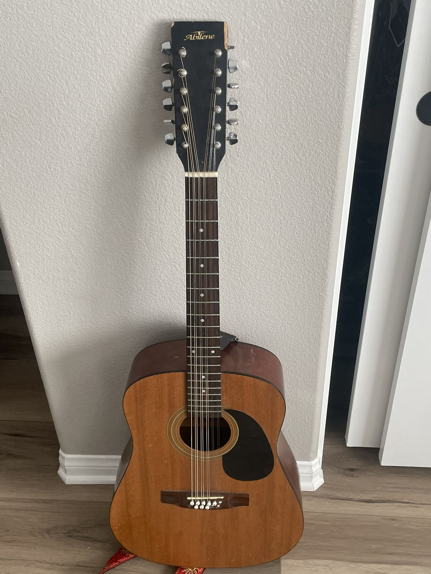 12 String guitar