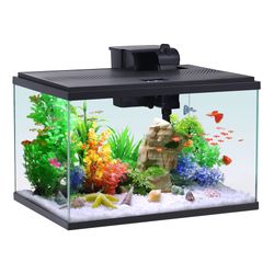 10 Gal Fish Tank