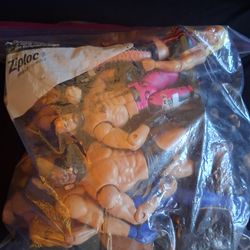 WWE toy wrestling action figures