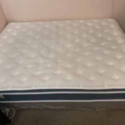Mattress & Box Spring