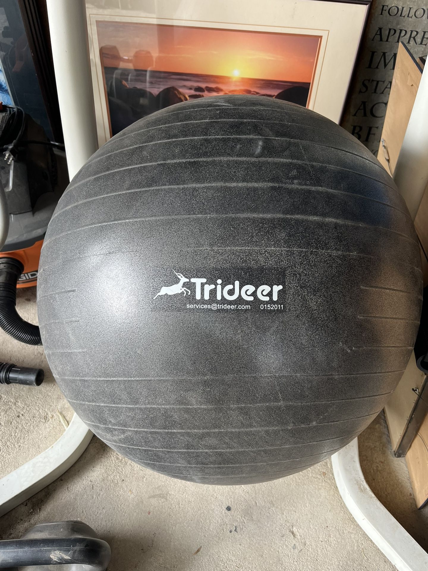 Exercise ball 