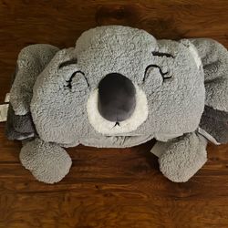 Kids Sleeping Bag