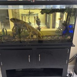55 Gallon Tank And Magniflow Filter