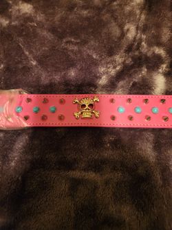 Dog Collar