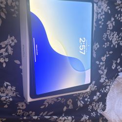 iPad 12.9 M4 256 GB 