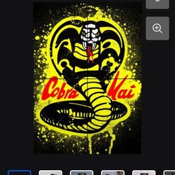 COBRA KAI DISPLATE 