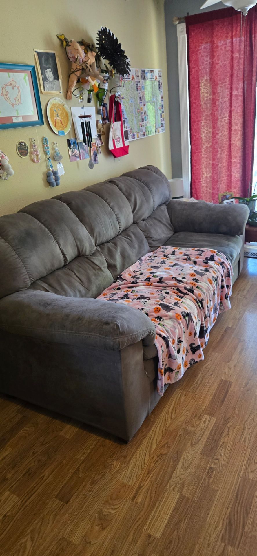 Free used couch