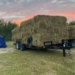 Bluestem Coastal Mix