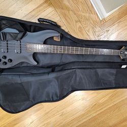 Schecter Diamond Series Damien-4 (Matte Black) with Soft Case