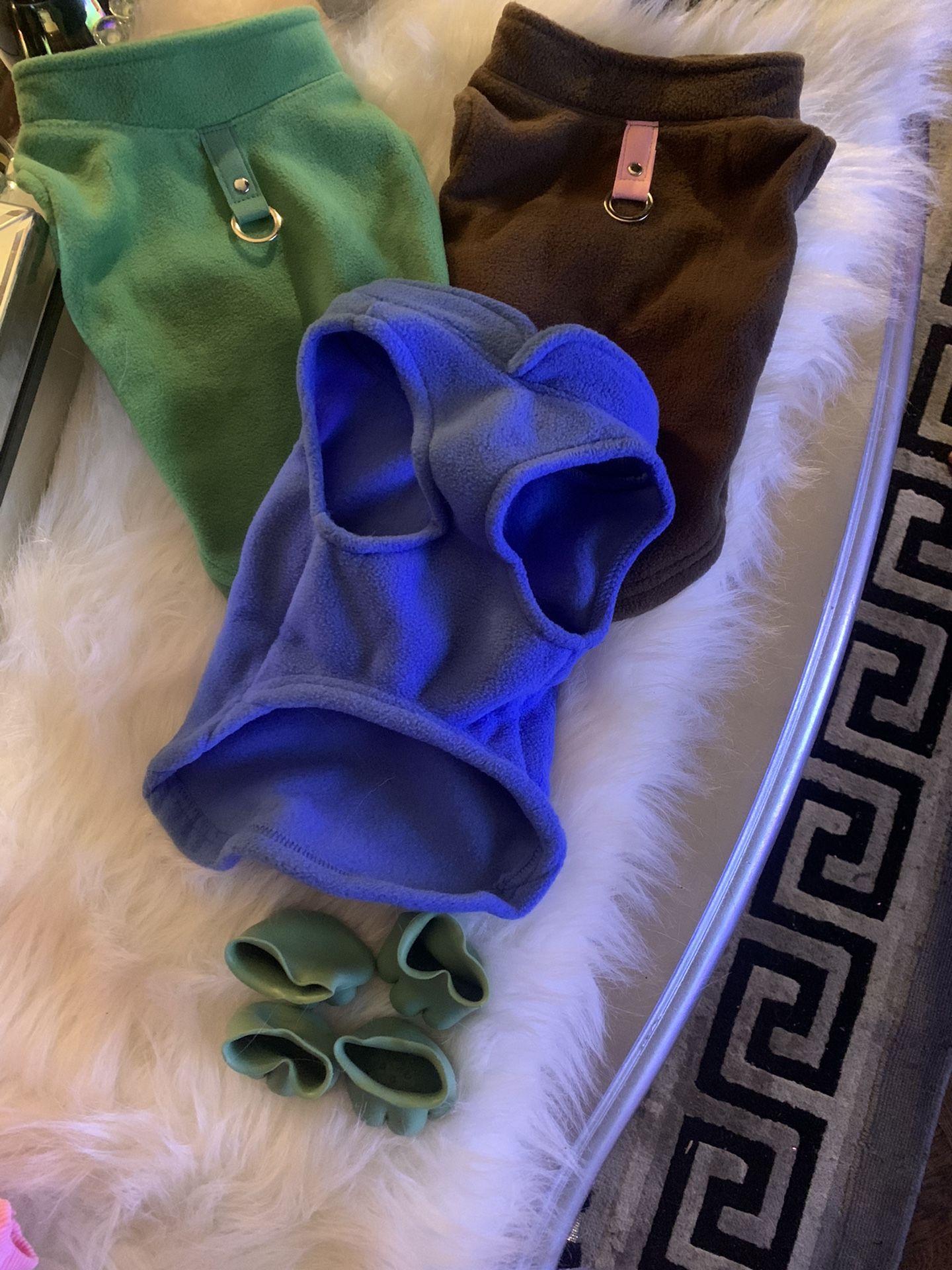 Puppy Sweaters With Rain Boots