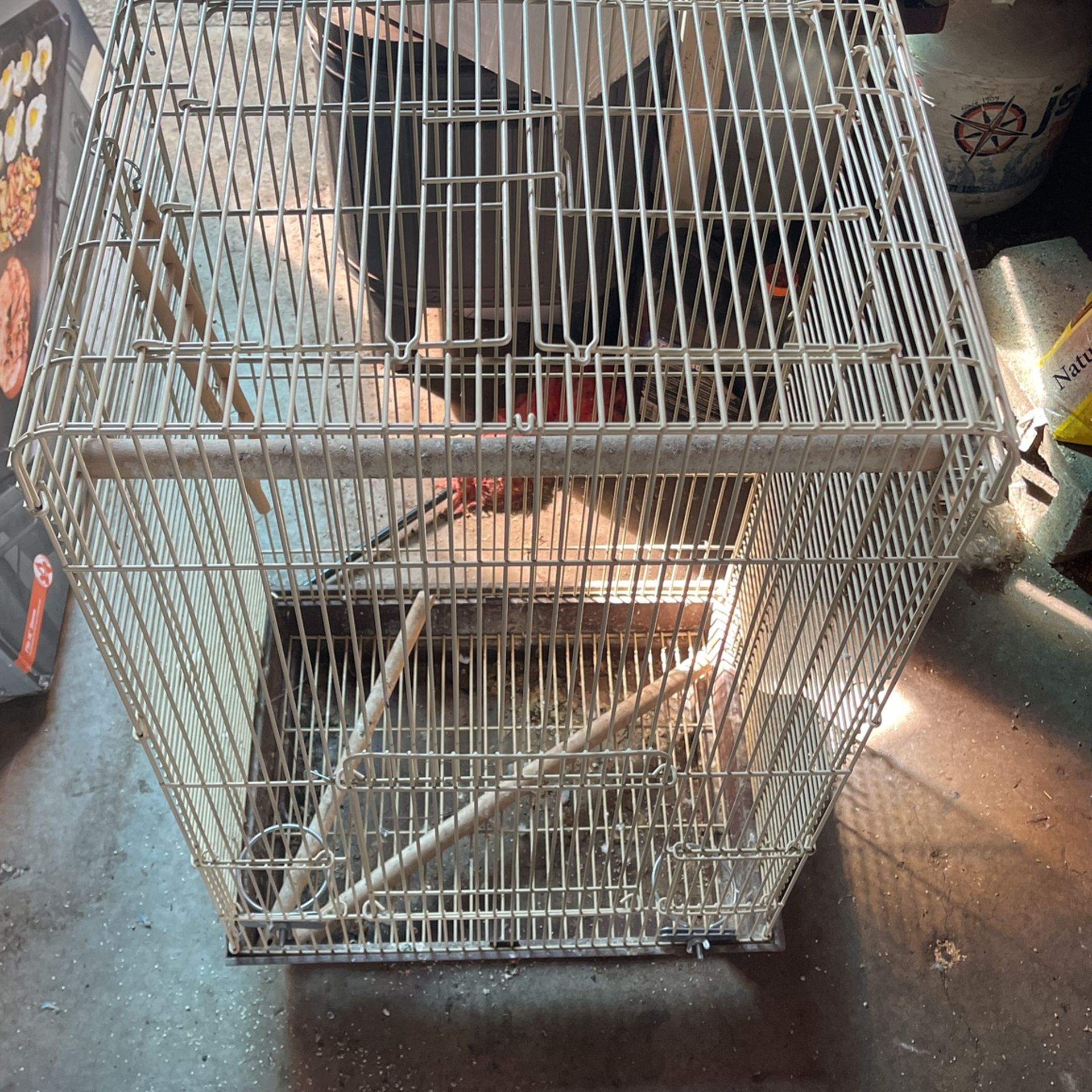 Bird Cage