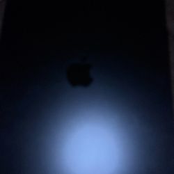 Blue IPAD 11in Newest