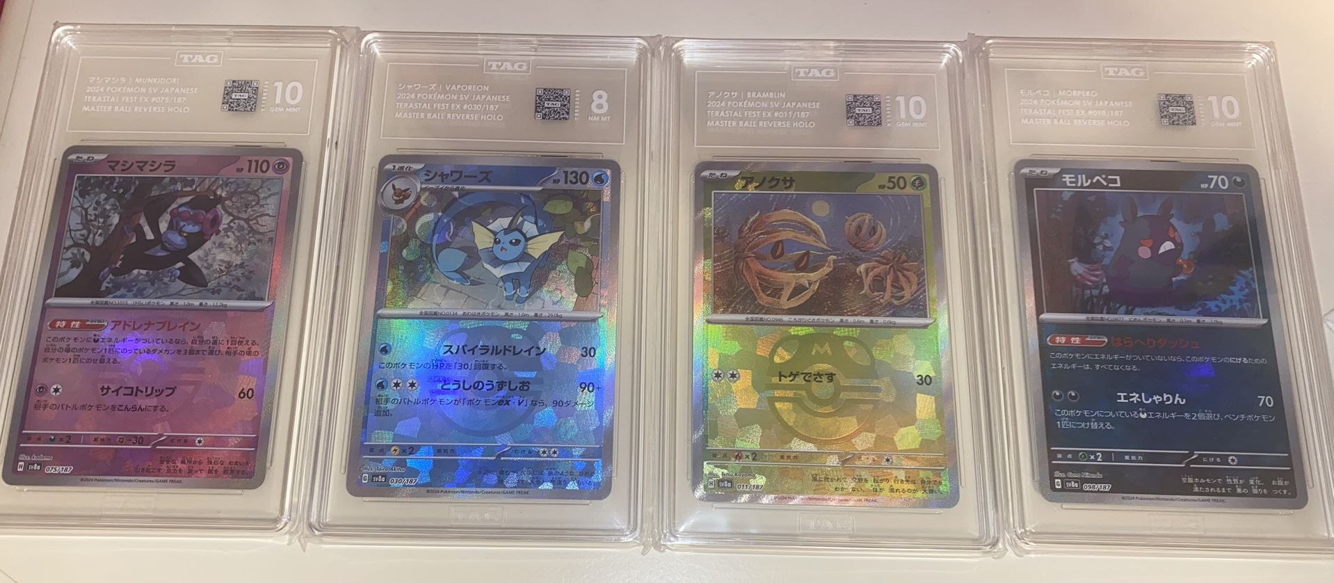 Pokémon Tag Masterballs Terastal Festival