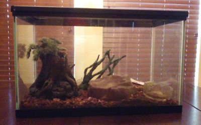 Reptilian Tank with Accessories