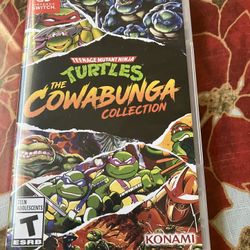 Preowned Flawless Condition NES Switch TMNT The Cowabunga Collection