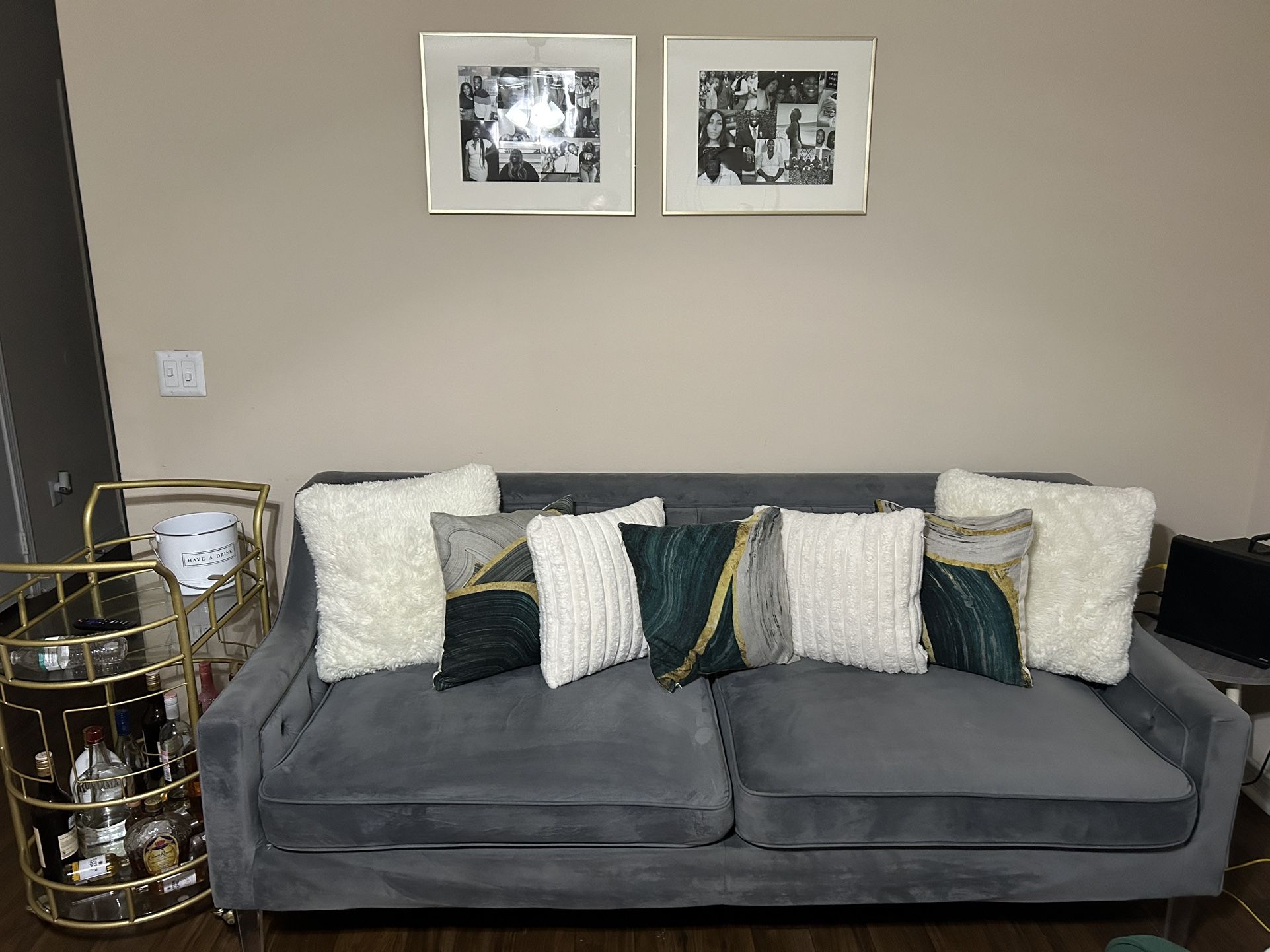 Velvet Gray Couch