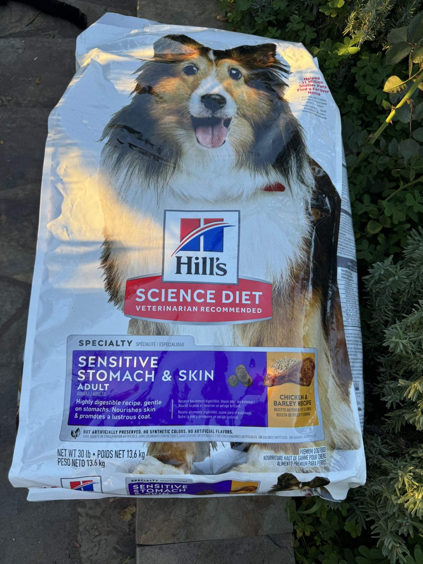 Hills Dog Food 