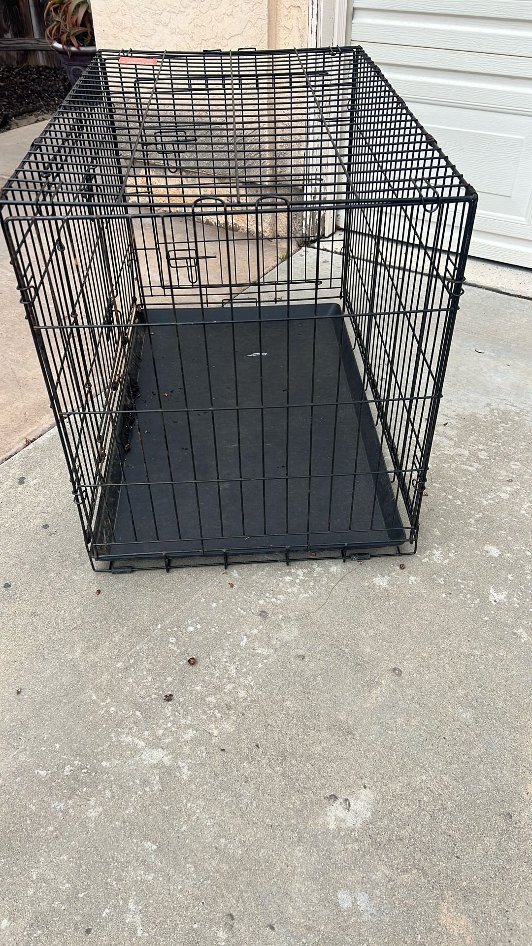 Dog Kennel