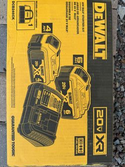 DEWALT 20V MAX XR Premium Lithium-Ion 6.0Ah and 4.0Ah Starter Kit