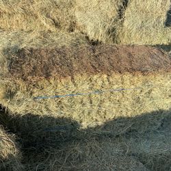 Bermuda Bottom Bales 