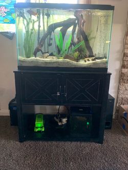 45 Gal Fish Tank, Stand & Sump Pump