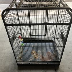 Bird Cage