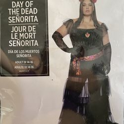 Halloween Costume Plus Size Day Of The Dead