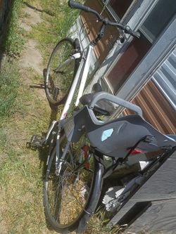 Adult Bike