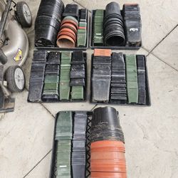 NURSERY POTS IN TRAY