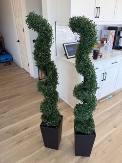 Pair of Artificial Spiral Topiary Trees